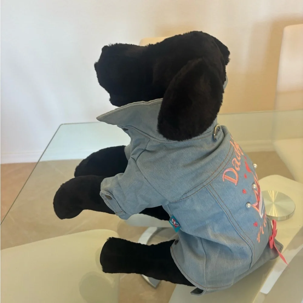 Denim Dog Jacket - Daddy's Princess 👑